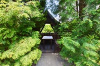 Обогреваемая изба, беседки У Фонтана