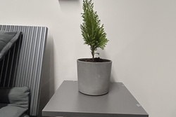 Дом-баня Аликанте Хаус