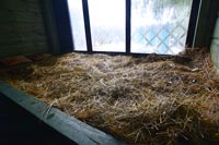 Баня с хаммамом Анёлы