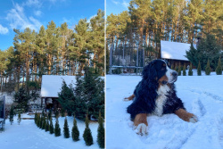 Банька Избушка