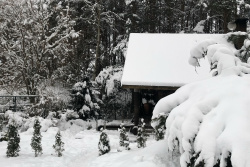 Банька Избушка