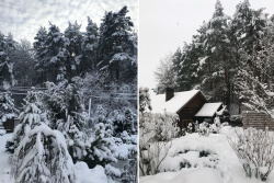 Банька Избушка