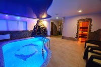 VIP коттедж с сауной Каменная горка