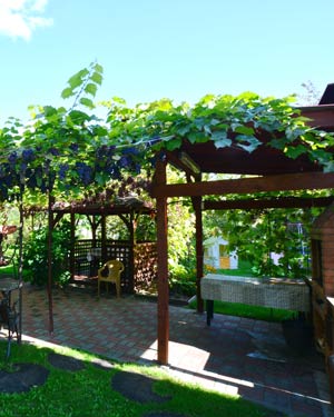 Беседка Крыничка