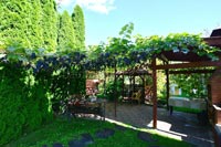 Беседка Крыничка