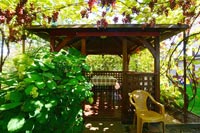 Беседка Крыничка