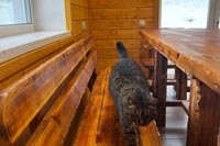 Дом-баня ДаchA