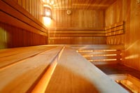 Сауна Файна