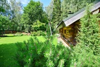 Баня Пар Мороза с парильщиком