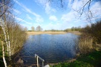 Беседка-банкетный зал Каминная