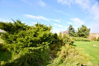 Беседка-банкетный зал Каминная