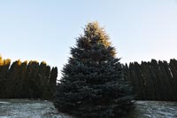 Беседка-банкетный зал Каминная