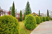 Беседка Сеница