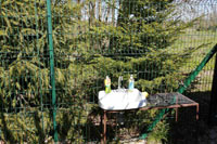 Беседка в банном домике Вяча